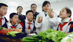 <strong>食物平安具有最普遍的好处相关者</strong> 